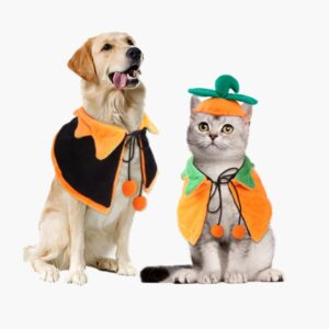 halloween dog cat dress